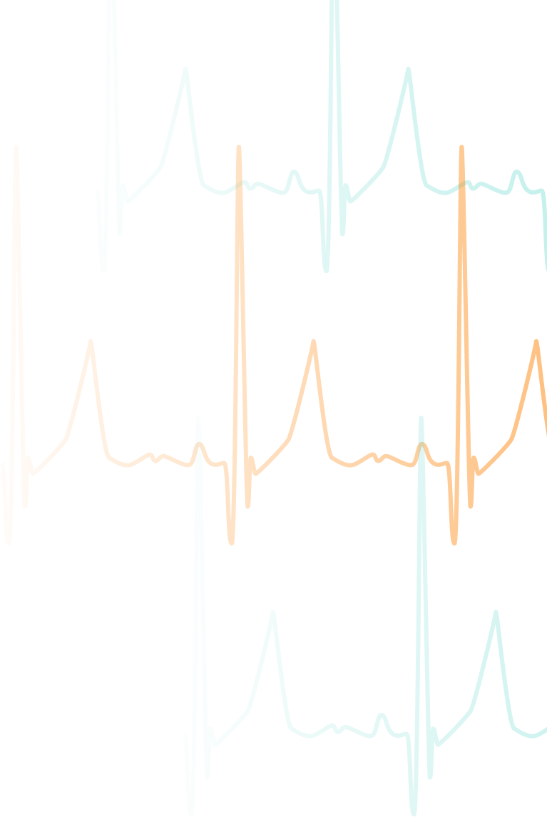 Section image background